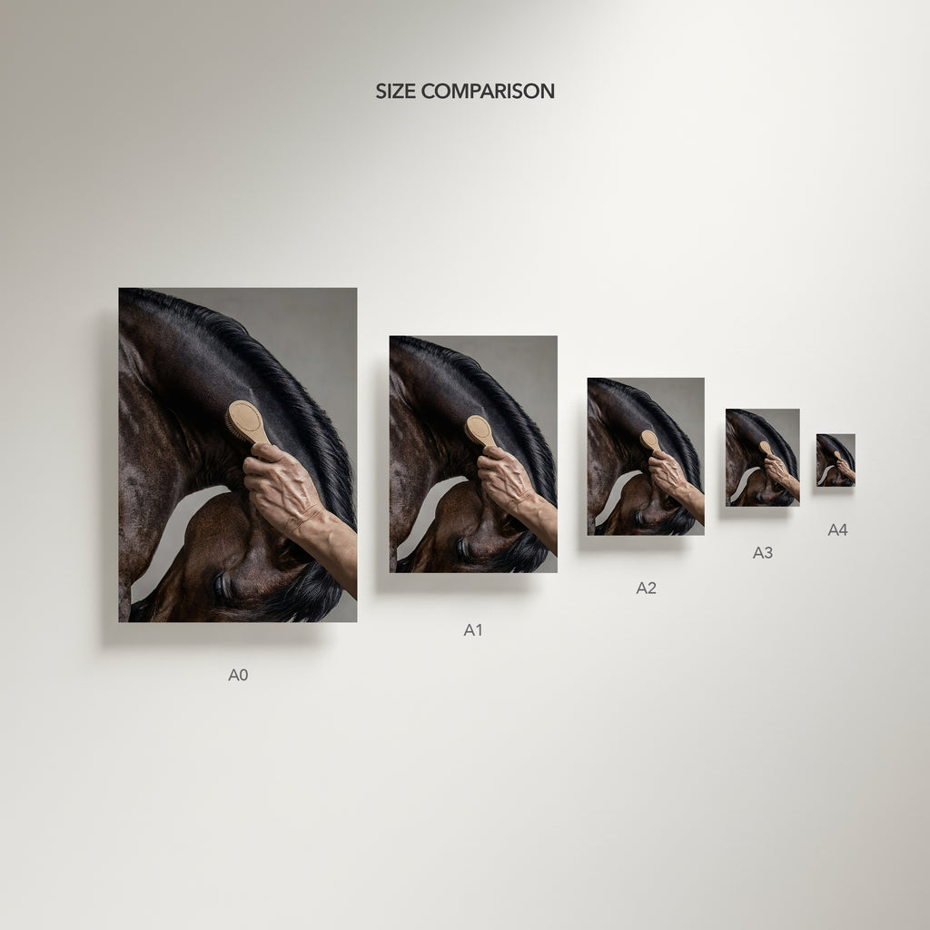 close up photograph of a horse’s crest being brushed by hand in soft studio lighting